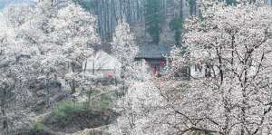 在韩国寺院应注意的礼仪