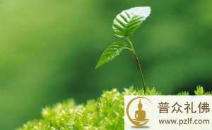 善有善报恶有恶报 时辰一到立